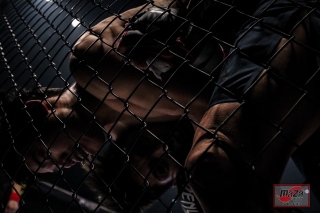 8Y9A8651-24-24