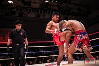 8Y9A5391-94-93