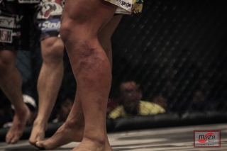 8Y9A3341-56-56